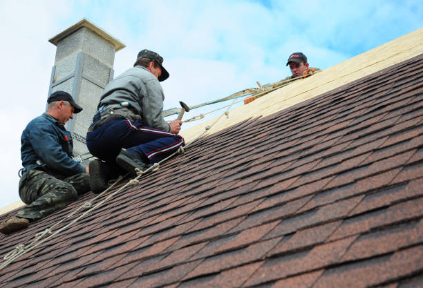 Best Roof Gutter Cleaning  in Highland, AR