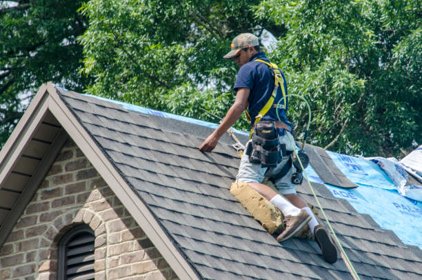 Best Roof Gutter Cleaning  in Highland, AR